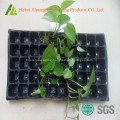 Plastic Sprouting seedling trays for nursery